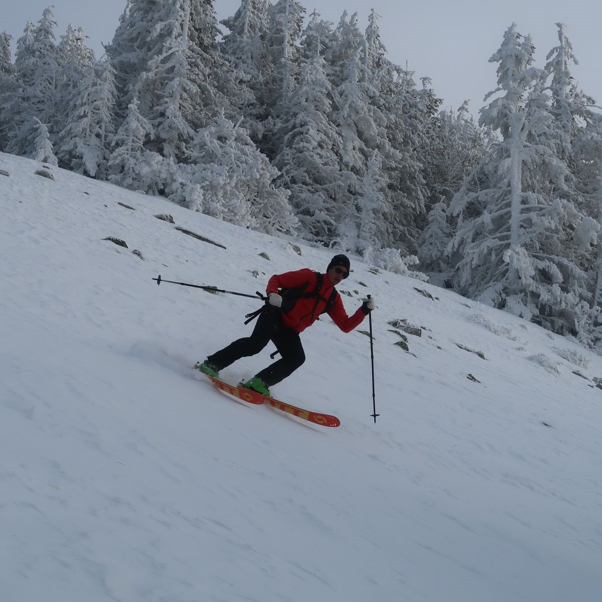 #7 Taupernas, facette nord Taupernas, facette nord