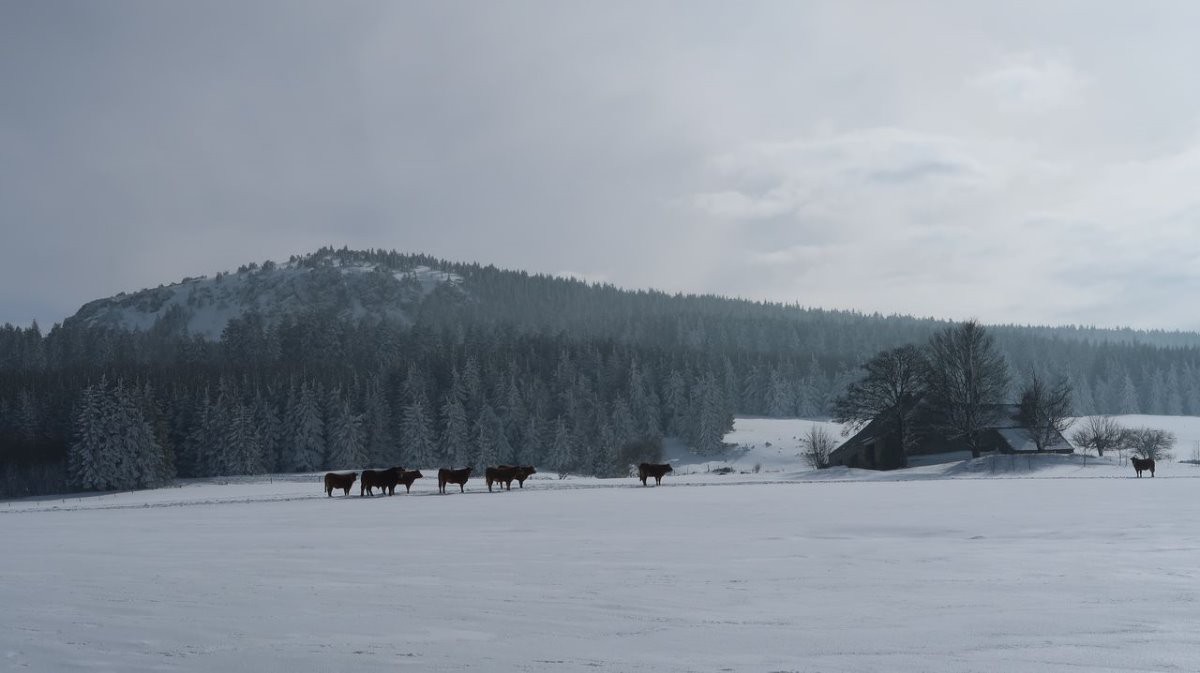 #6 Grands espaces sur le flanc nord Grands espaces sur le flanc nord