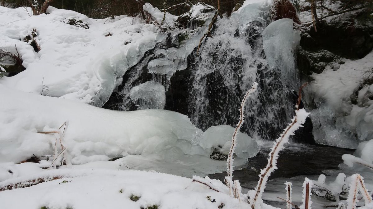 #8 Ruisseau de Besseyrou Ruisseau de Besseyrou