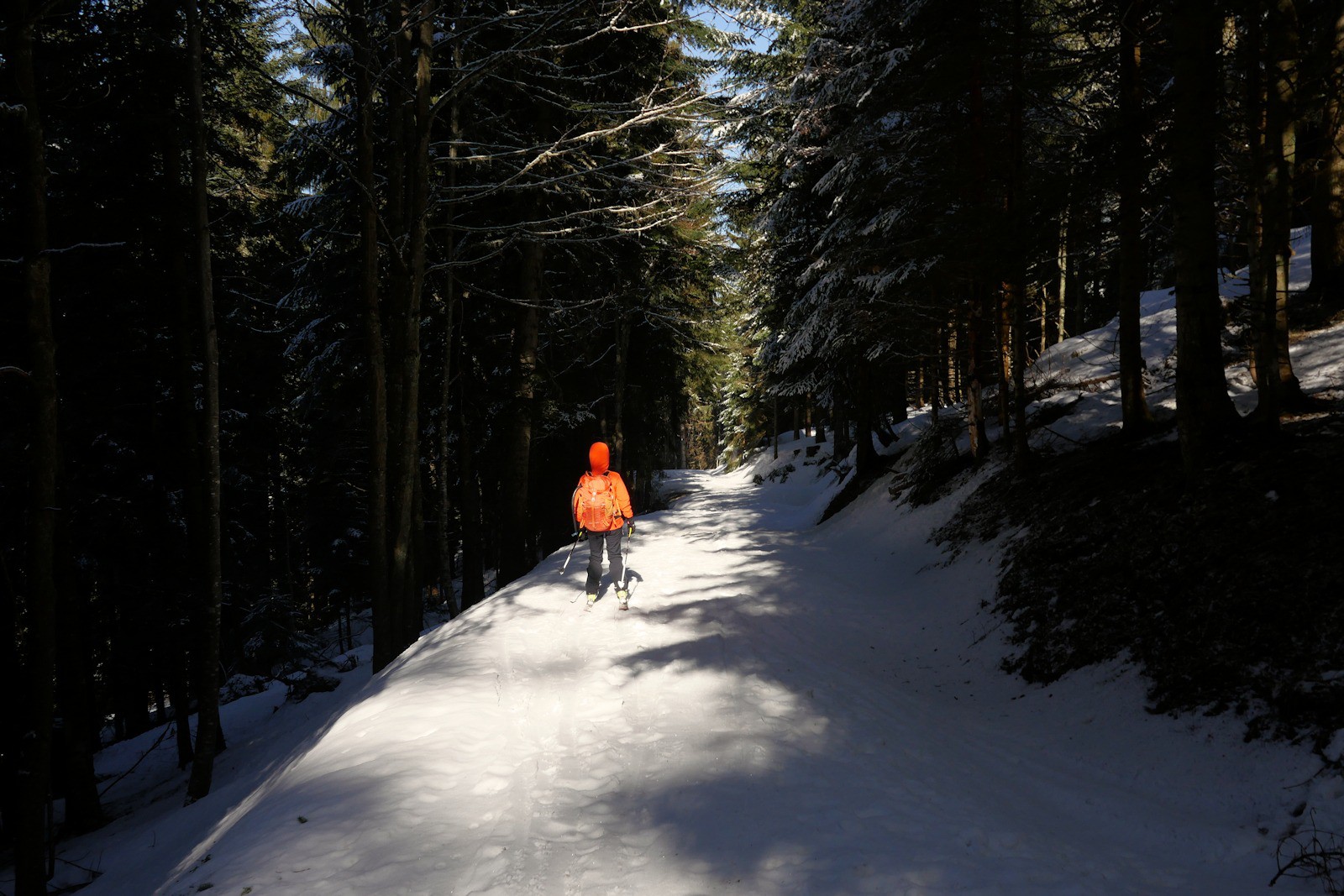 Sur la route de l'Ebaudiaz.