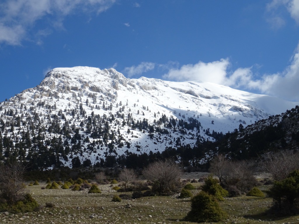 Mont Cyllène