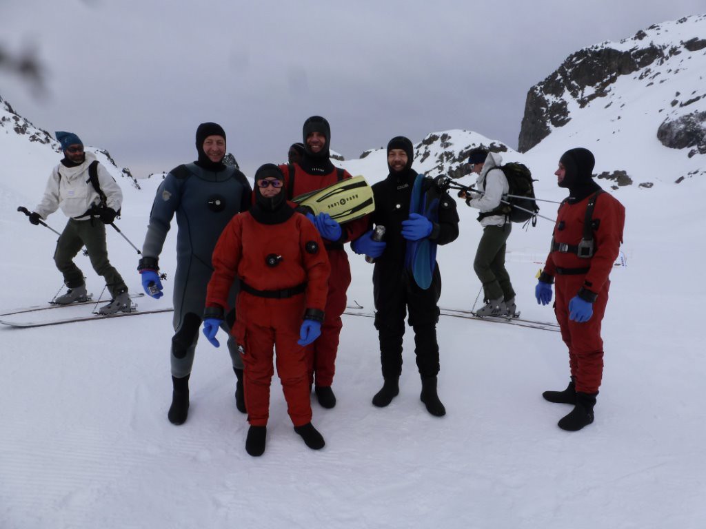 Les pingouins rouges et noirs entourés par les chasseurs de lapins :)