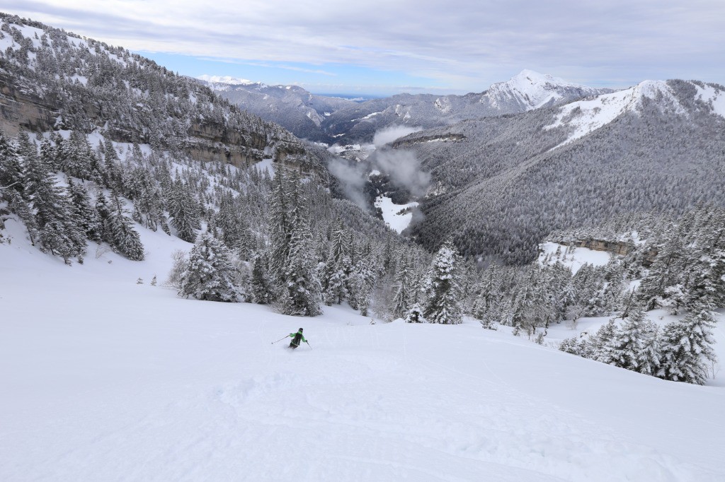 #8 Descente Descente