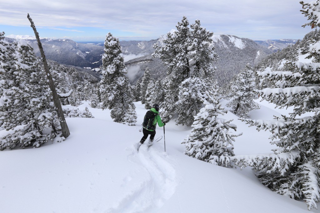 #7 Miam miam Miam miam