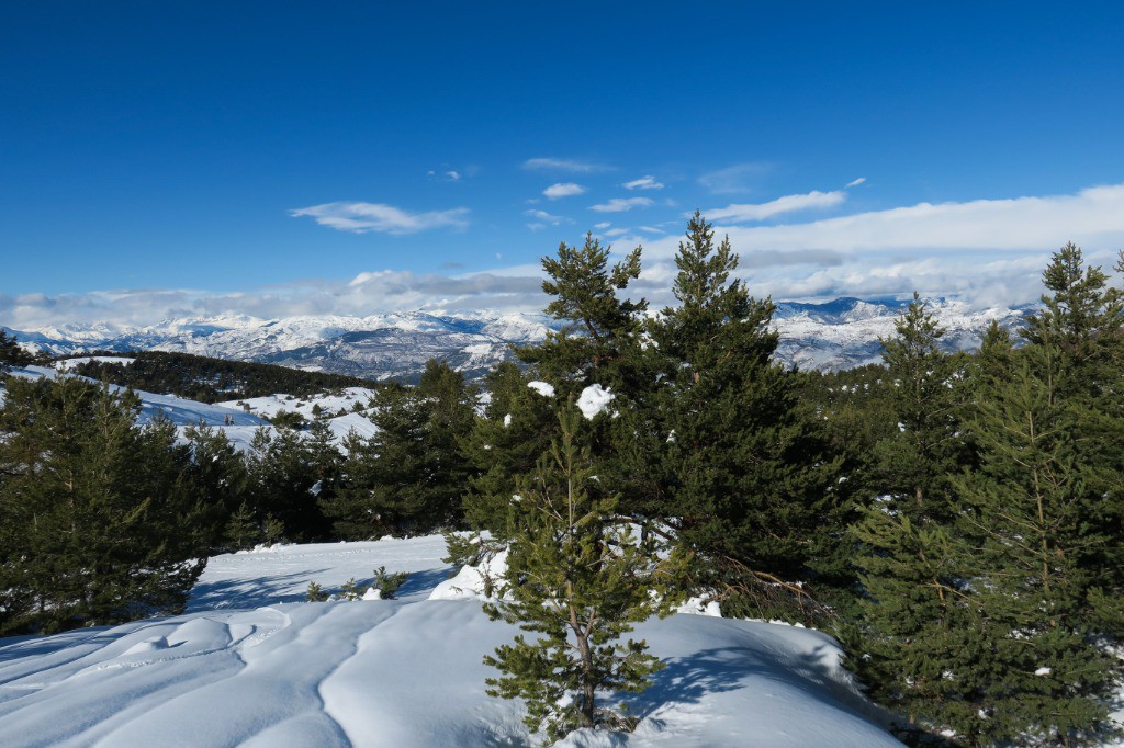 #1 ça sent le sud ! ça sent le sud !