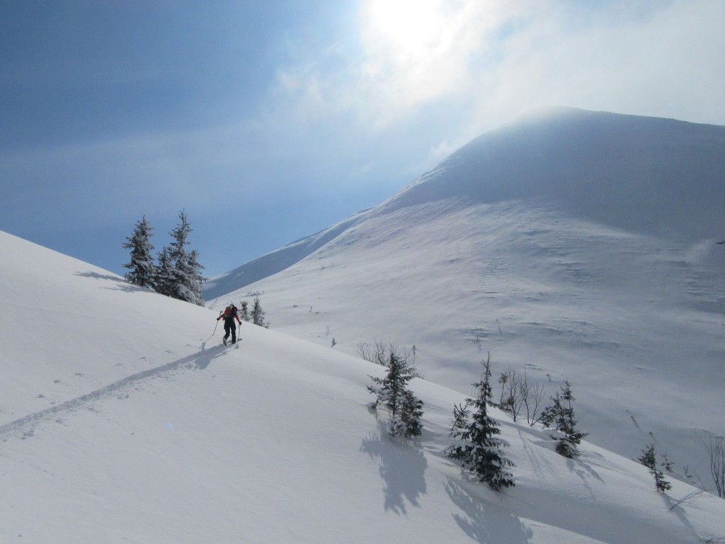 #6 J3 Jojo à la trace J3 Jojo à la trace