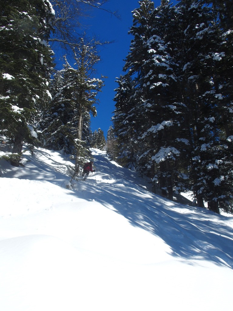 #7 Descente en neige un peu lourde dans la forêt, mais ludique Descente en neige un peu lourde dans la forêt, mais ludique