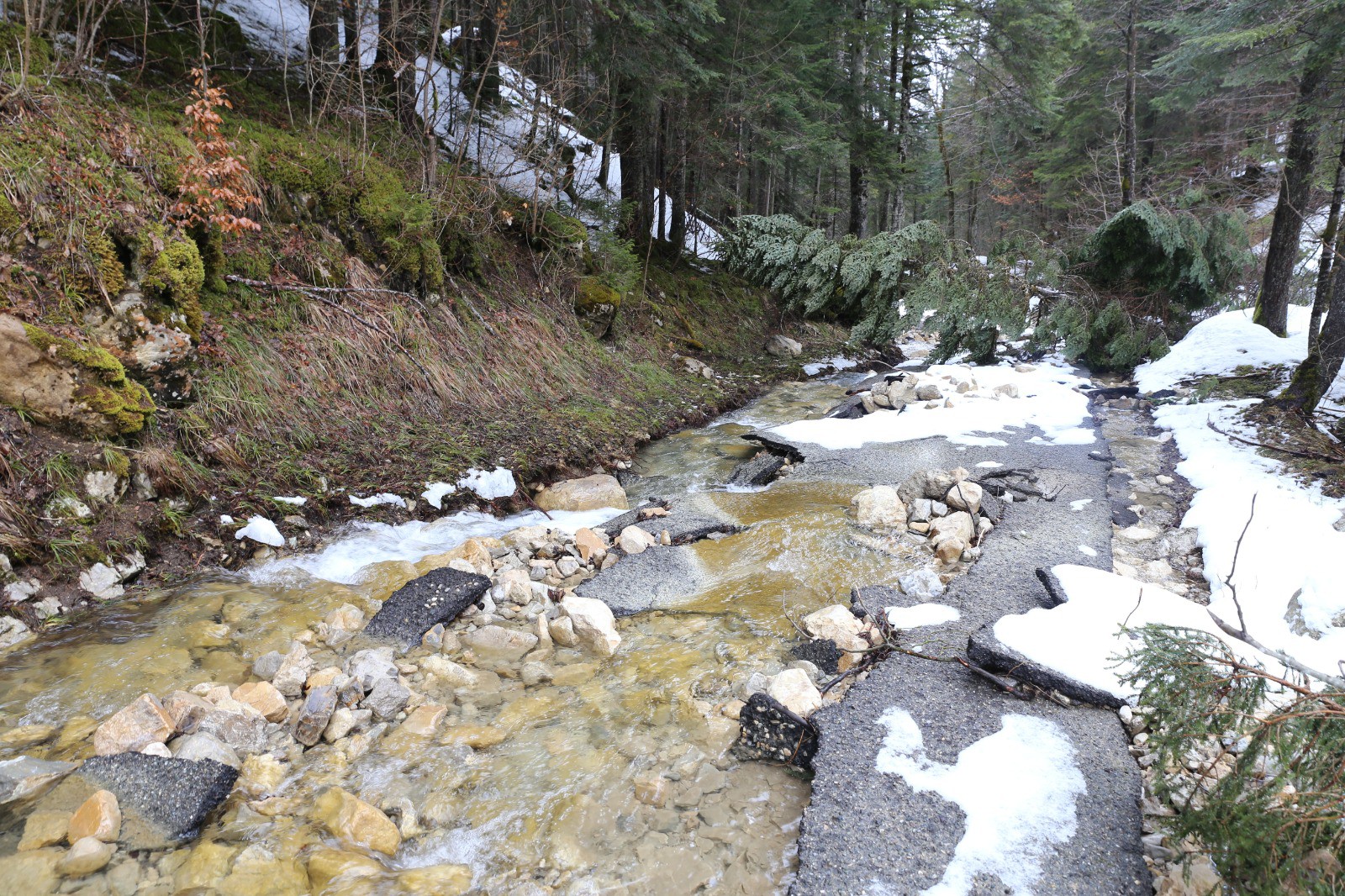 #8 La nature reprend ses droits... La nature reprend ses droits...