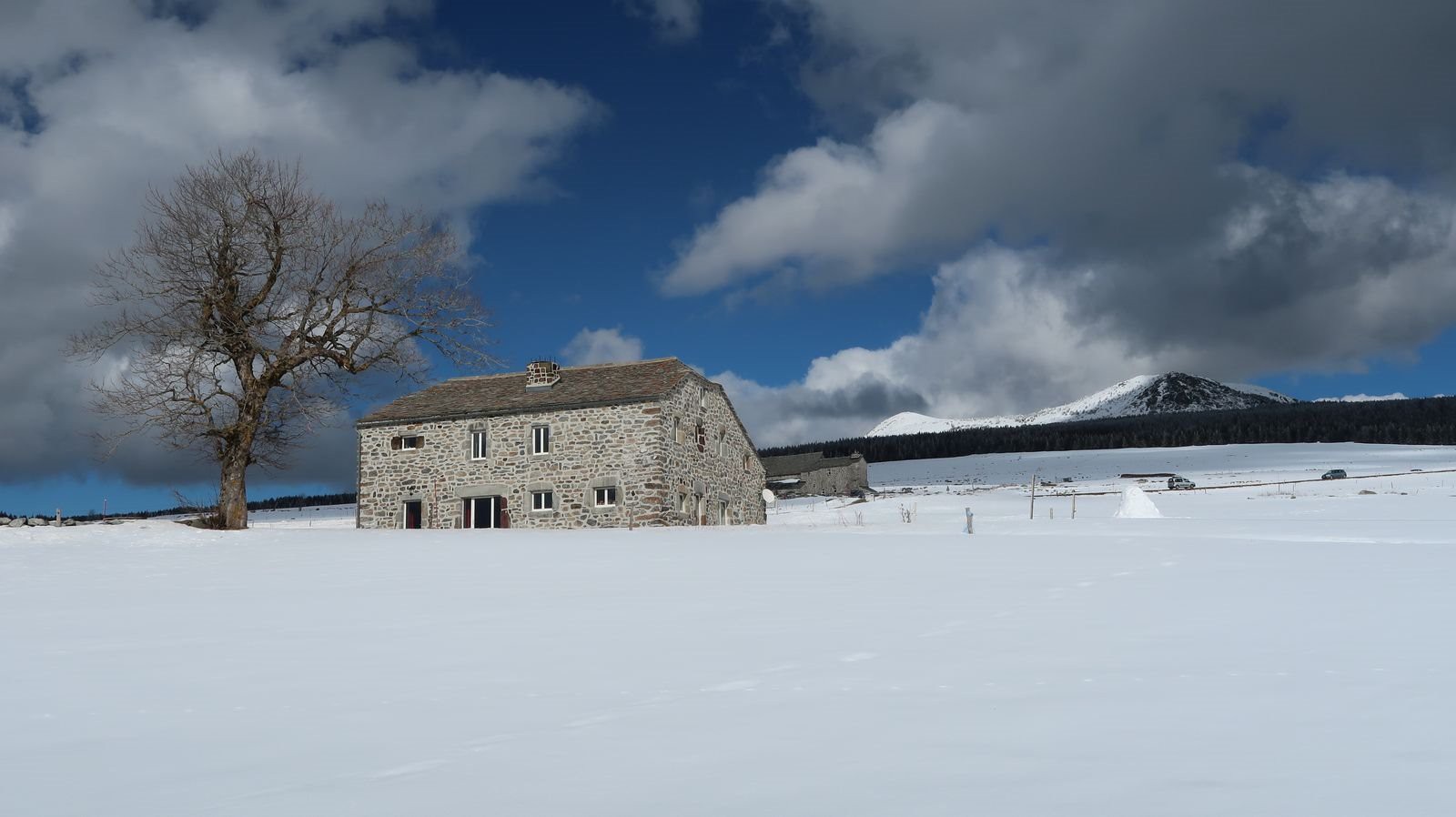 #8 La Marcelline La Marcelline