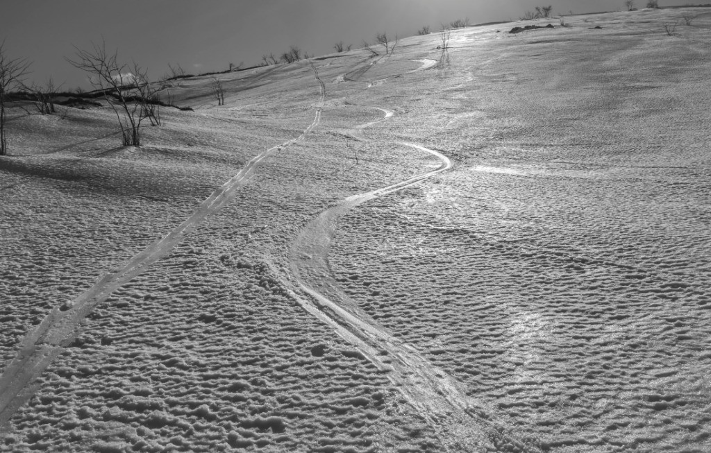 #19 Presque du bon ski près des crêtes, manque un peu de glisse quand même Presque du bon ski près des crêtes, manque un peu de glisse quand même