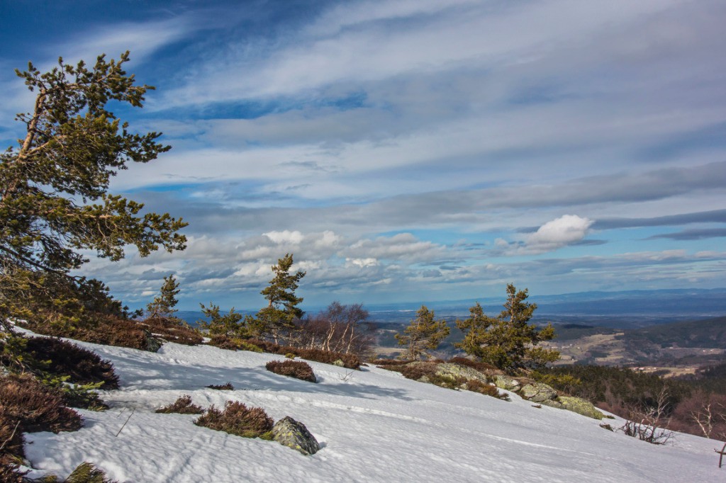 #15 Lumières de l Lumières de l'après midi:c'est beau