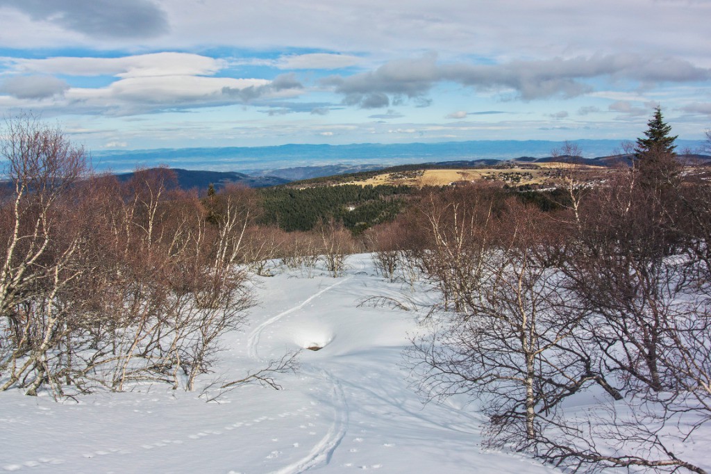 #12 En remontant vers les chaumes à la sortie du bois... En remontant vers les chaumes à la sortie du bois...