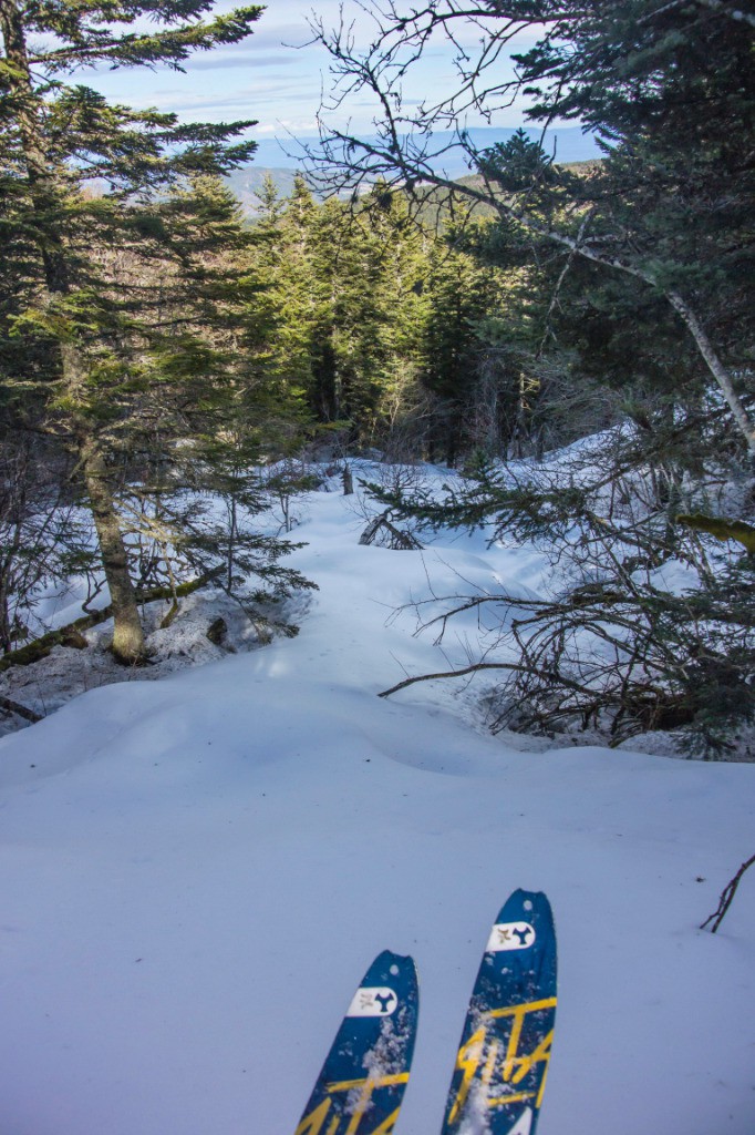 #16 On a trouvé un bel itinéraire en forêt On a trouvé un bel itinéraire en forêt