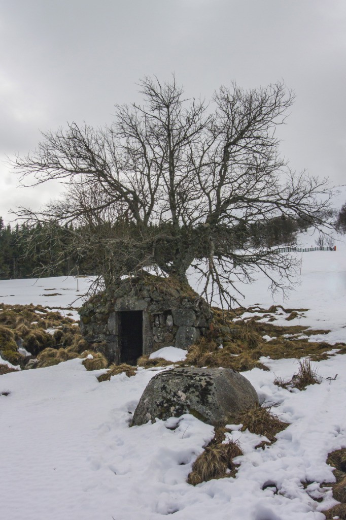 #4 Source et fontaine? Source et fontaine?