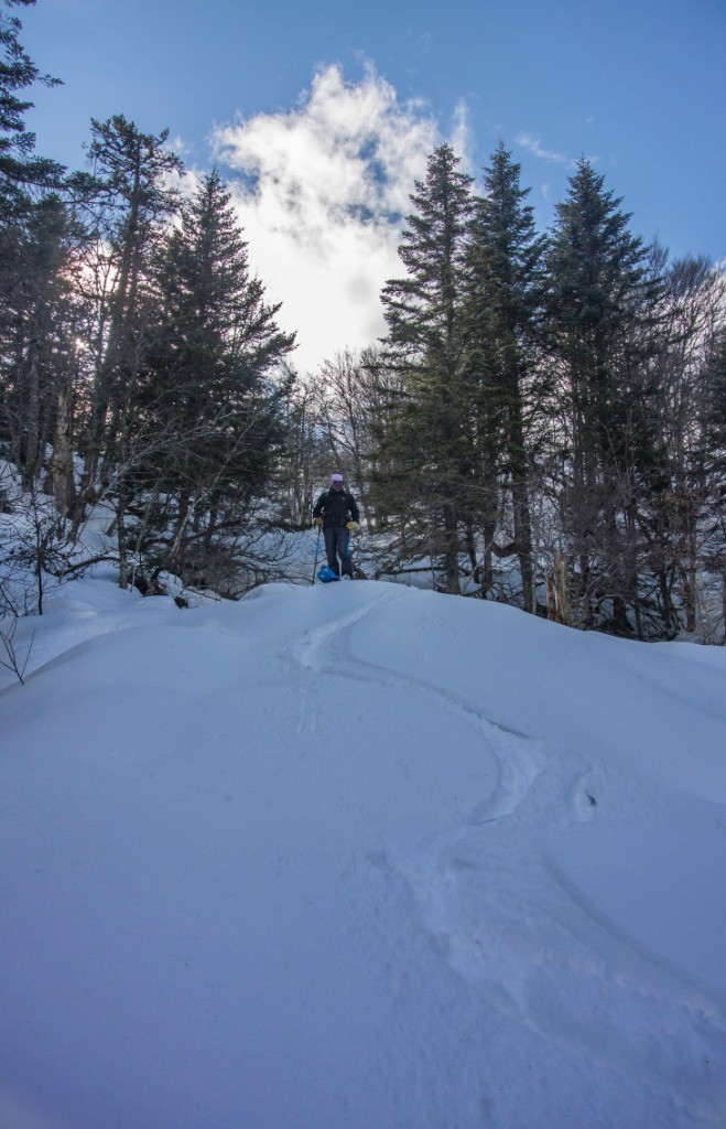 #17 ... qui fait presque illusion! ... qui fait presque illusion!