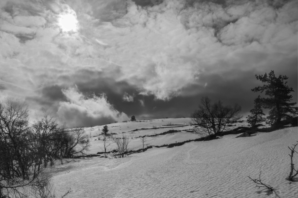 #13 ... on aperçoit PSH ... on aperçoit PSH