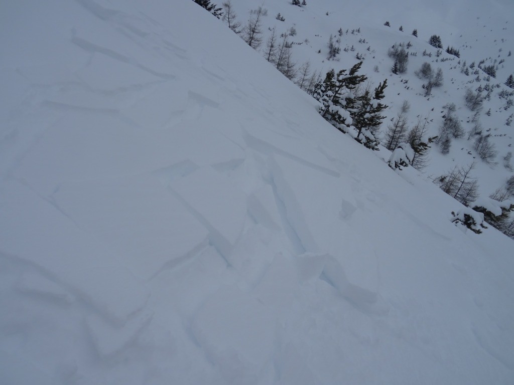 #3 Plaque de surface sous Plagne Longe Plaque de surface sous Plagne Longe