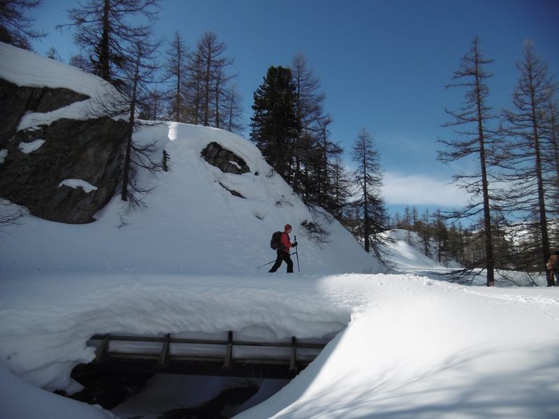 #4 ya de la neige ici! ya de la neige ici!