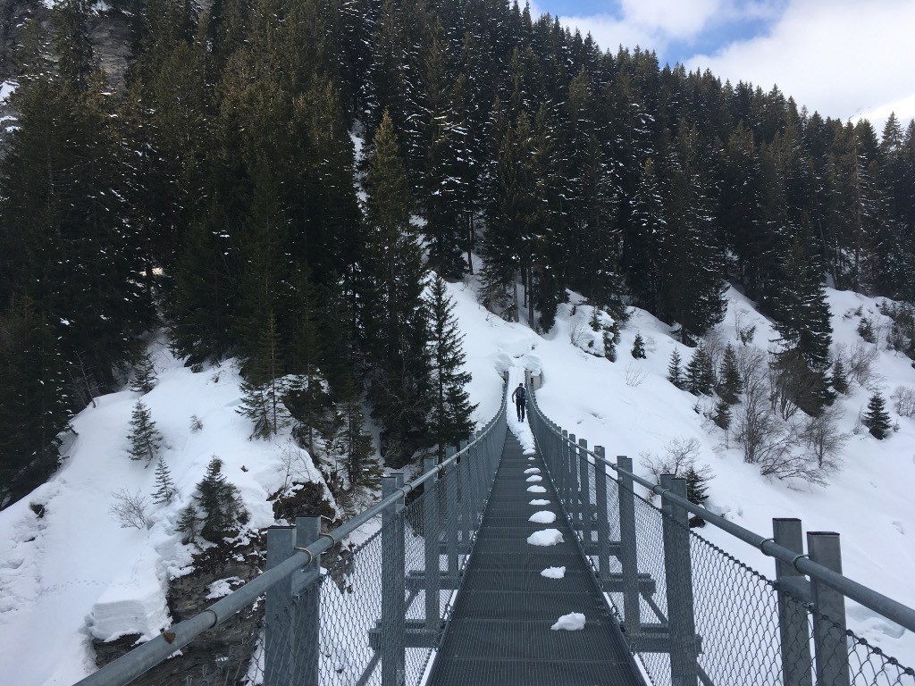 #1 Le pont Nepalais Le pont Nepalais