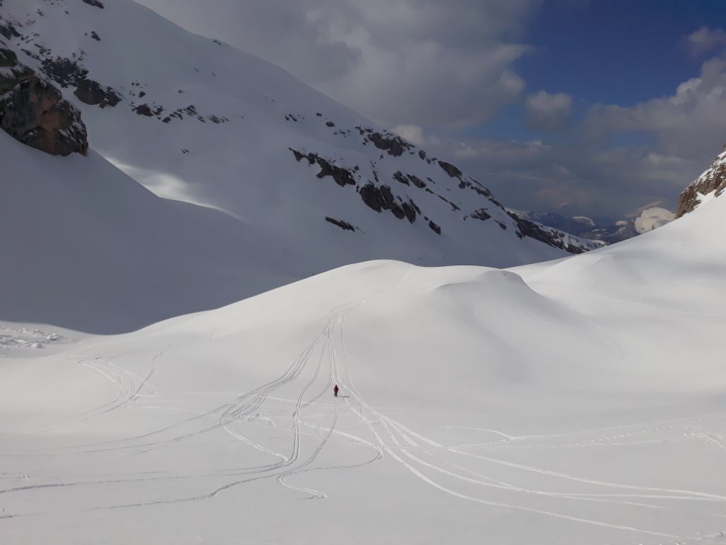 Quelques belles lignes encore à tracer