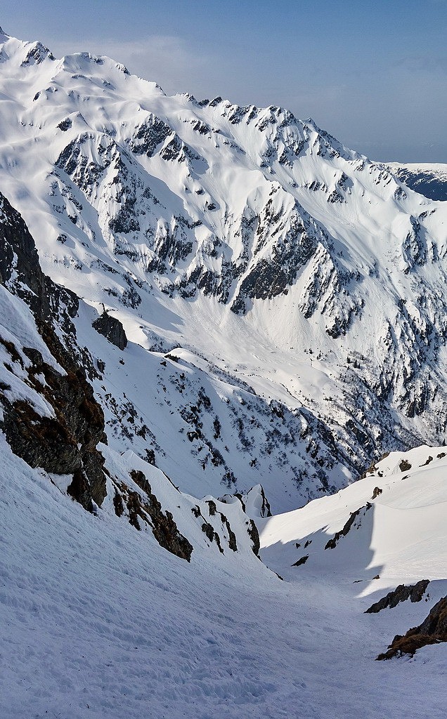 #11 Branche orientale, dans le vif... Branche orientale, dans le vif...