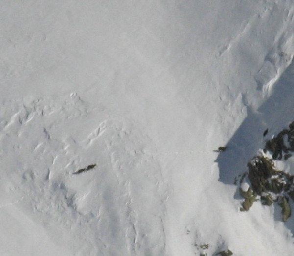 #6 aigleton_6 : Des bêtes à 4 pattes sur le versant de Belle Etoile aigleton_6 : Des bêtes à 4 pattes sur le versant de Belle Etoile