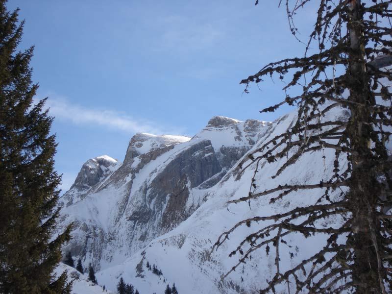 #2 Dents Blanches occidentales : Très belle vue sur les Dents Blanche occidentales deouis l Dents Blanches occidentales : Très belle vue sur les Dents Blanche occidentales deouis l'itinéraire de montée dans la forêt.