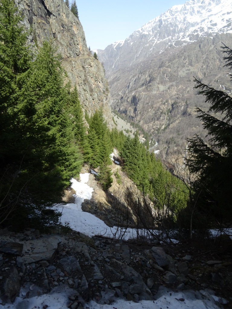 #36 Sentier d Sentier d'accès au refuge (vers 1500m)
