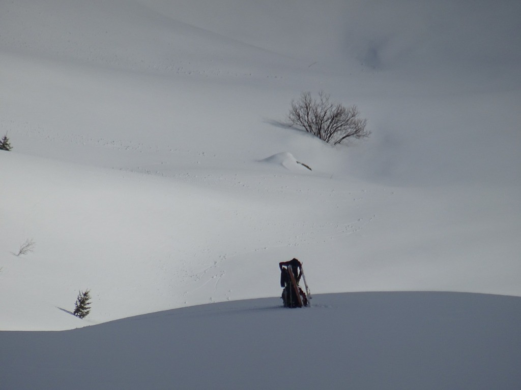 #9 Glad Glad' cherche quelque chose pour faire fuir Bottamor...