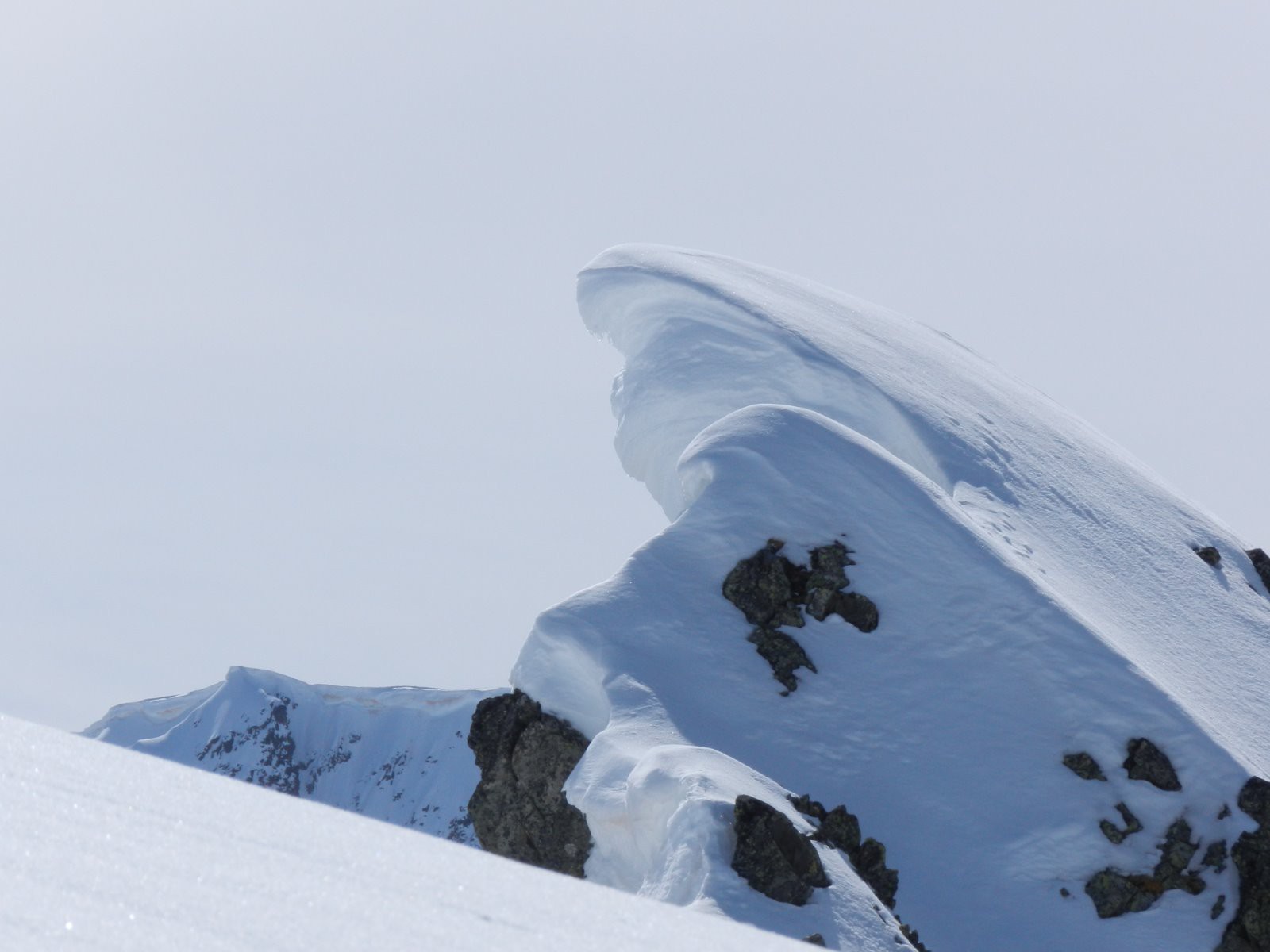 #7 tremplin ? tremplin ?