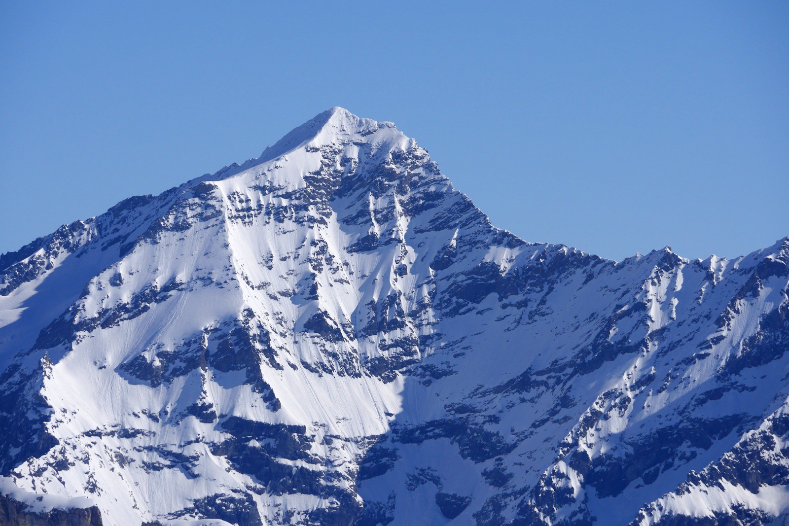 La face Sud du Mont Pourri.