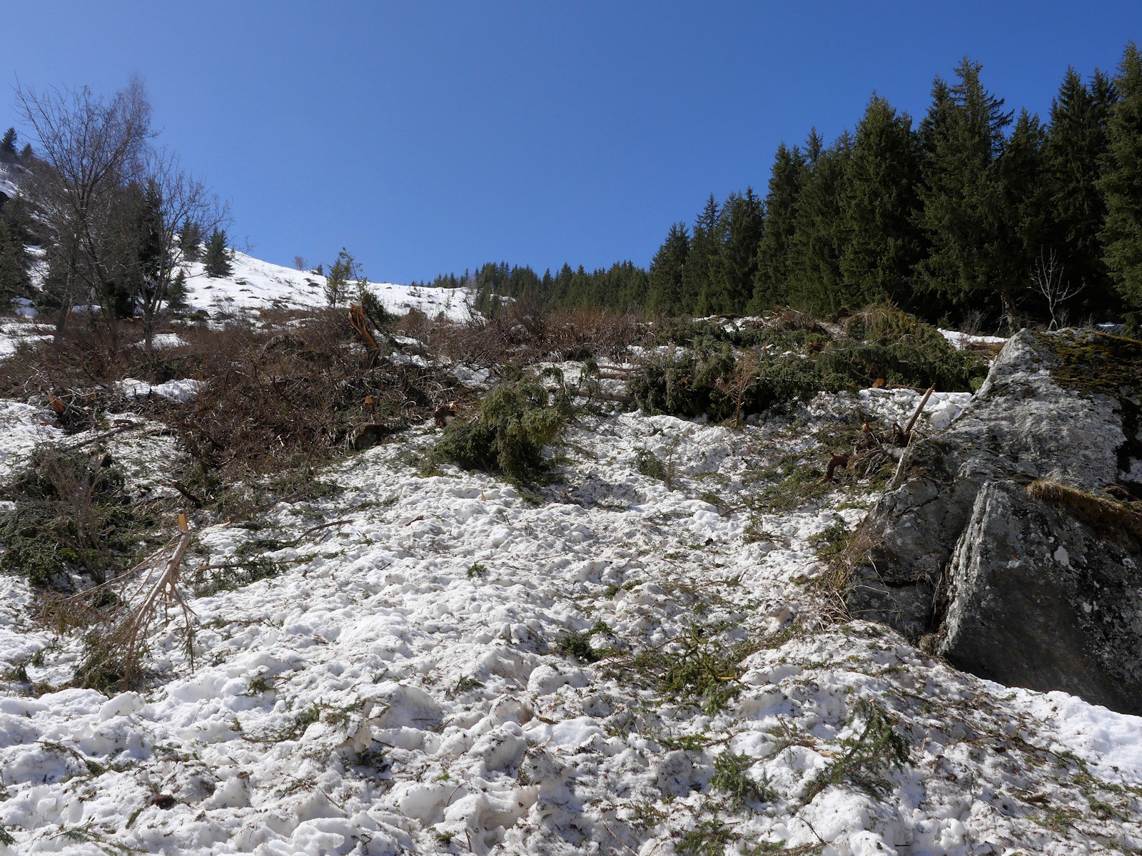 Difficilement skiable en partie basse.