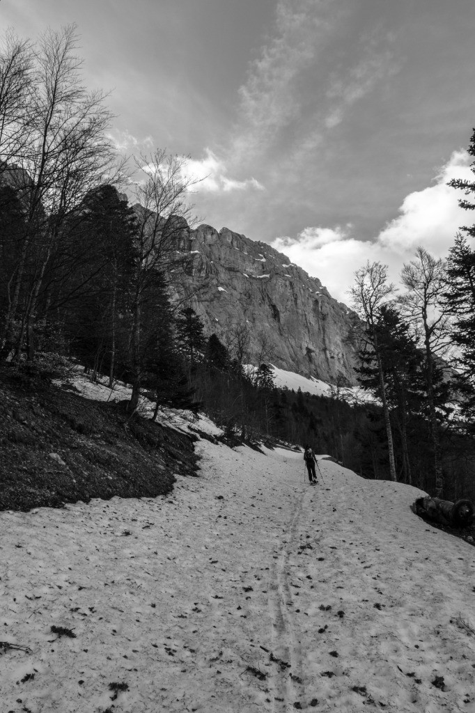 #1 Ambiance de printemps, enfin ! Ambiance de printemps, enfin !