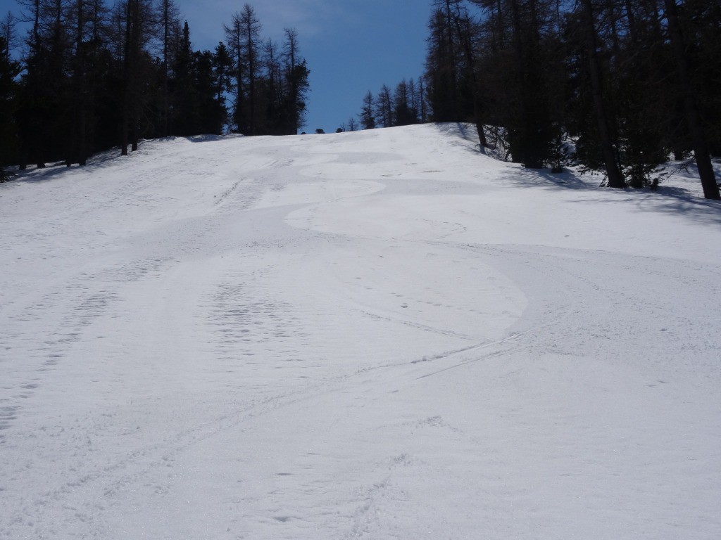 #21 Miam pas mal du tout la moquette sur les pistes (fermées !) de Termignon.... Miam pas mal du tout la moquette sur les pistes (fermées !) de Termignon....