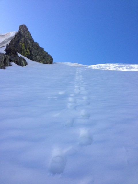 le côté nord, neige dure 