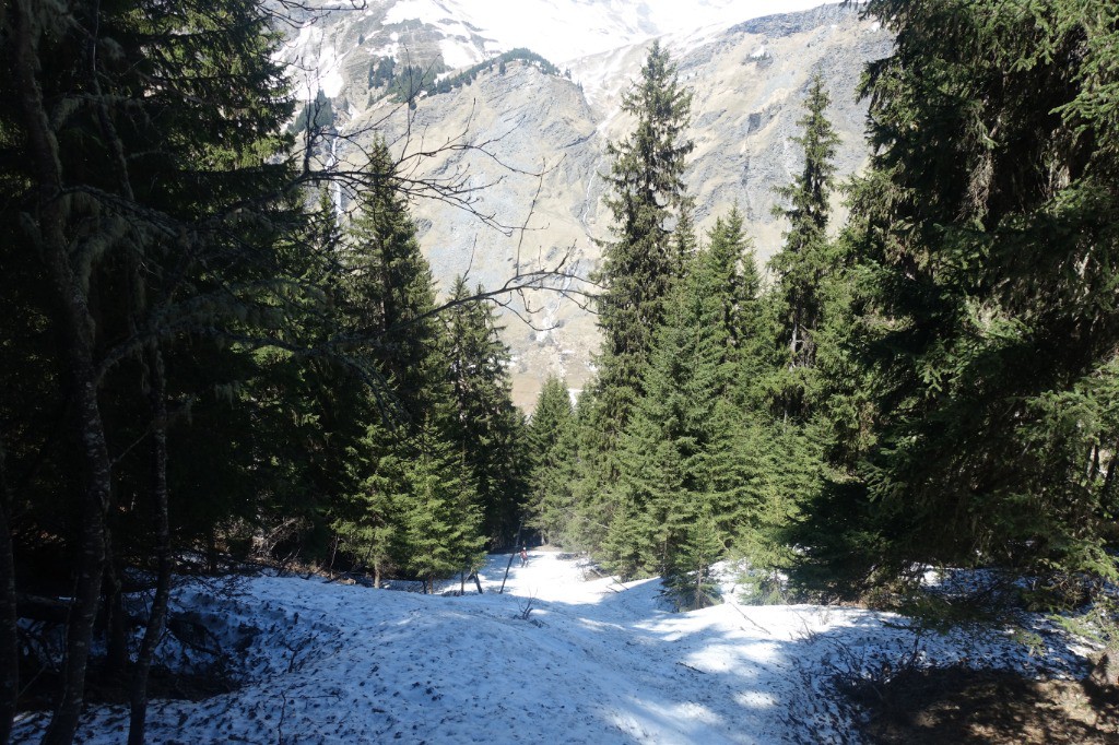 Conditions de la langue de neige vers 1650m