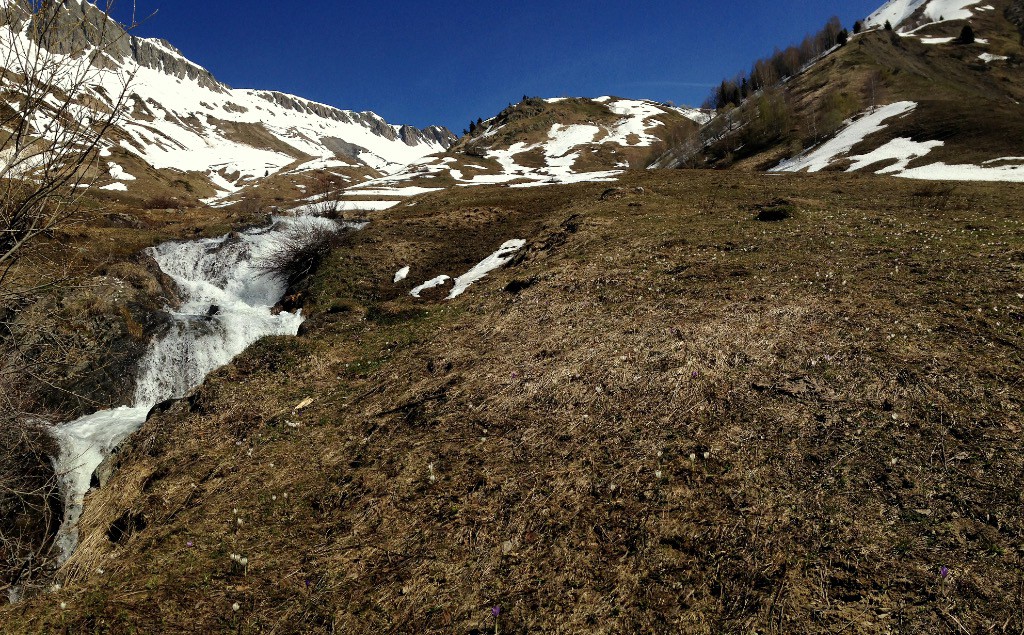 #10 Le printemps est bien là !!! La nature retrouve peu à peu son aspect estival Le printemps est bien là !!! La nature retrouve peu à peu son aspect estival