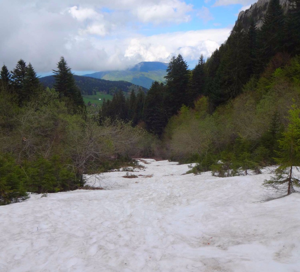 #5 une dernière langue sur le bas avant 10mm de marche et c une dernière langue sur le bas avant 10mm de marche et c'est la voiture.