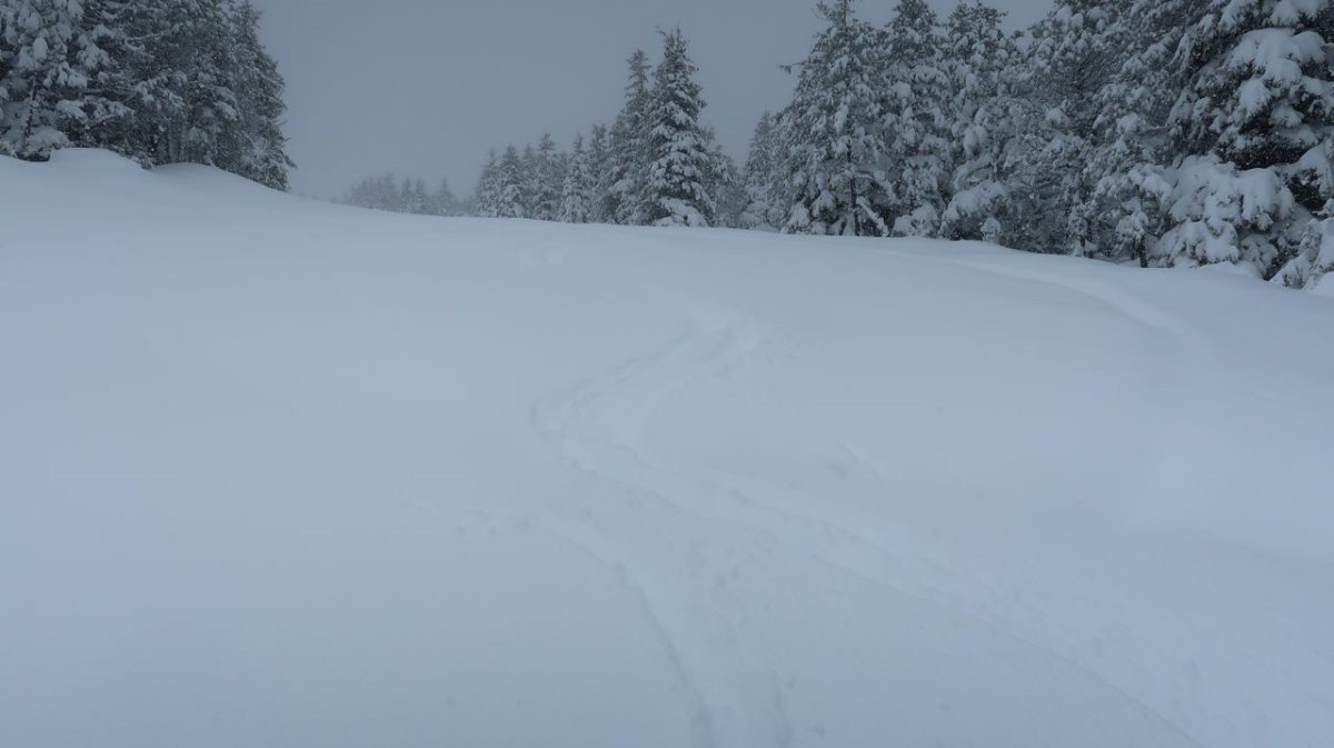 #13 Très bon ce lundi matin Très bon ce lundi matin