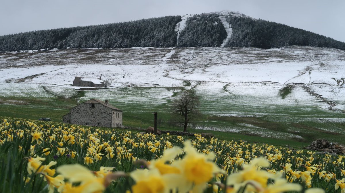 #2 1er mai, Chaulet a revêtu son bonnet blanc, l 1er mai, Chaulet a revêtu son bonnet blanc, l'hiver tente un retour