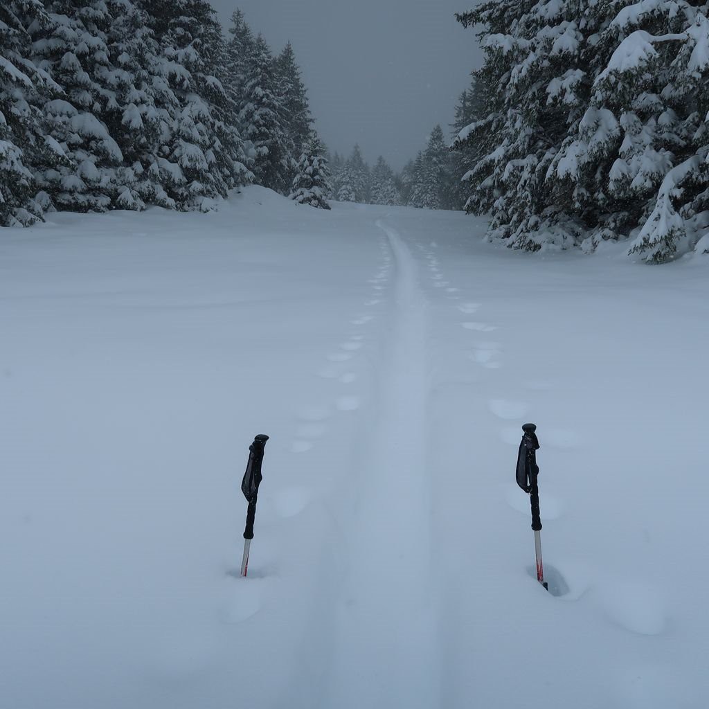#7 Une idée de la hauteur de neige Une idée de la hauteur de neige