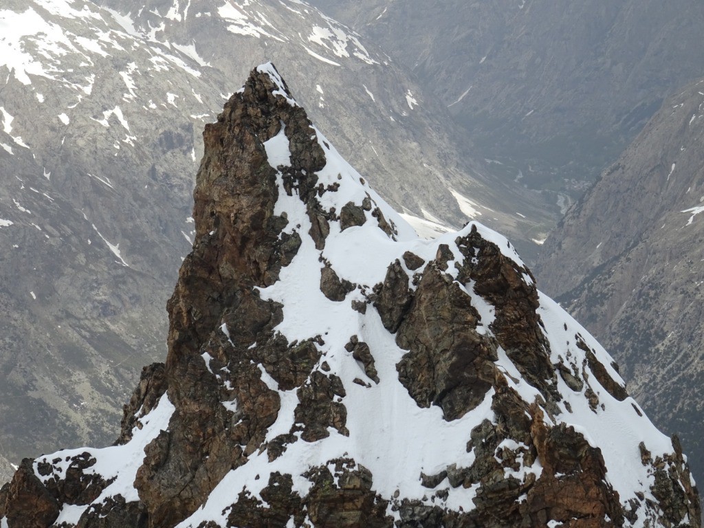 #19 Perspectives Perspectives