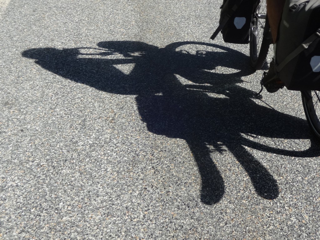 #5 Liberté... Liberté...