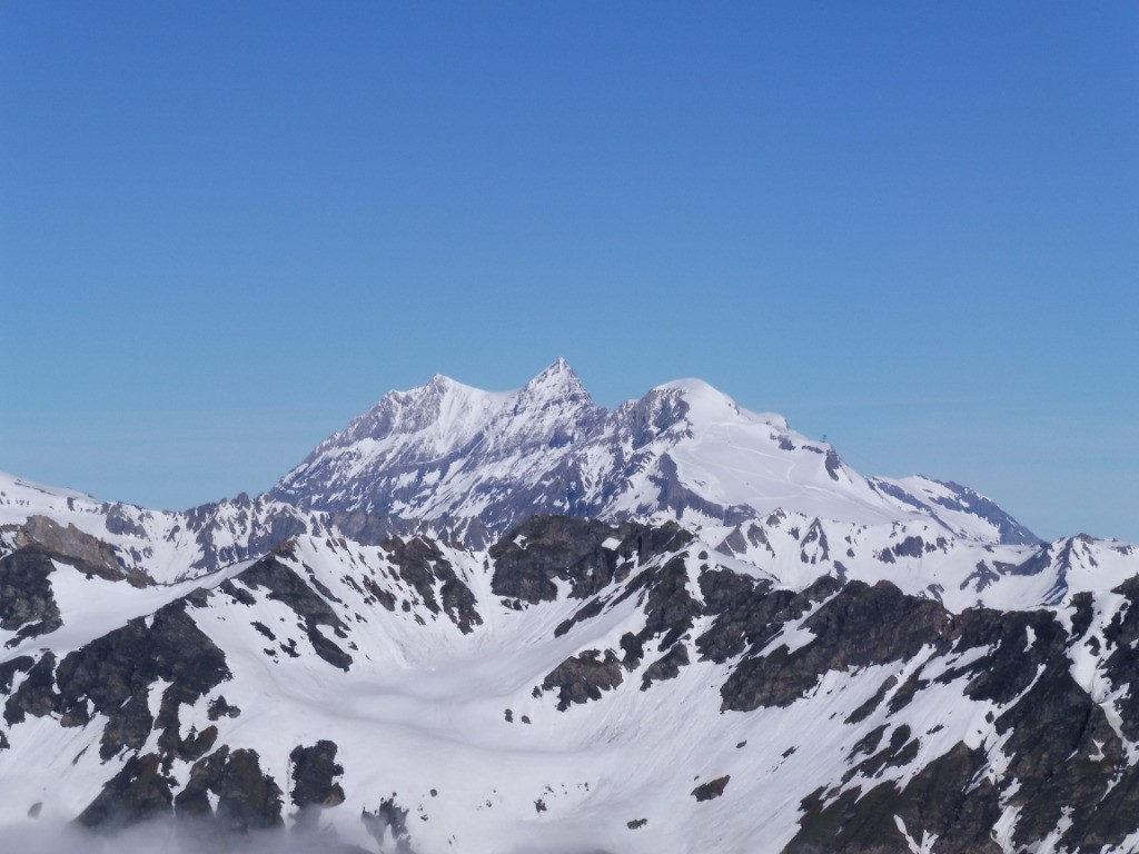 #1 grande casse grande casse