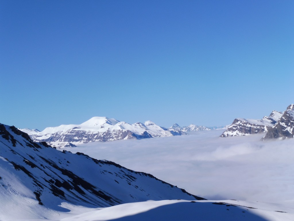 #3 pointe de ronce..... pointe de ronce.....