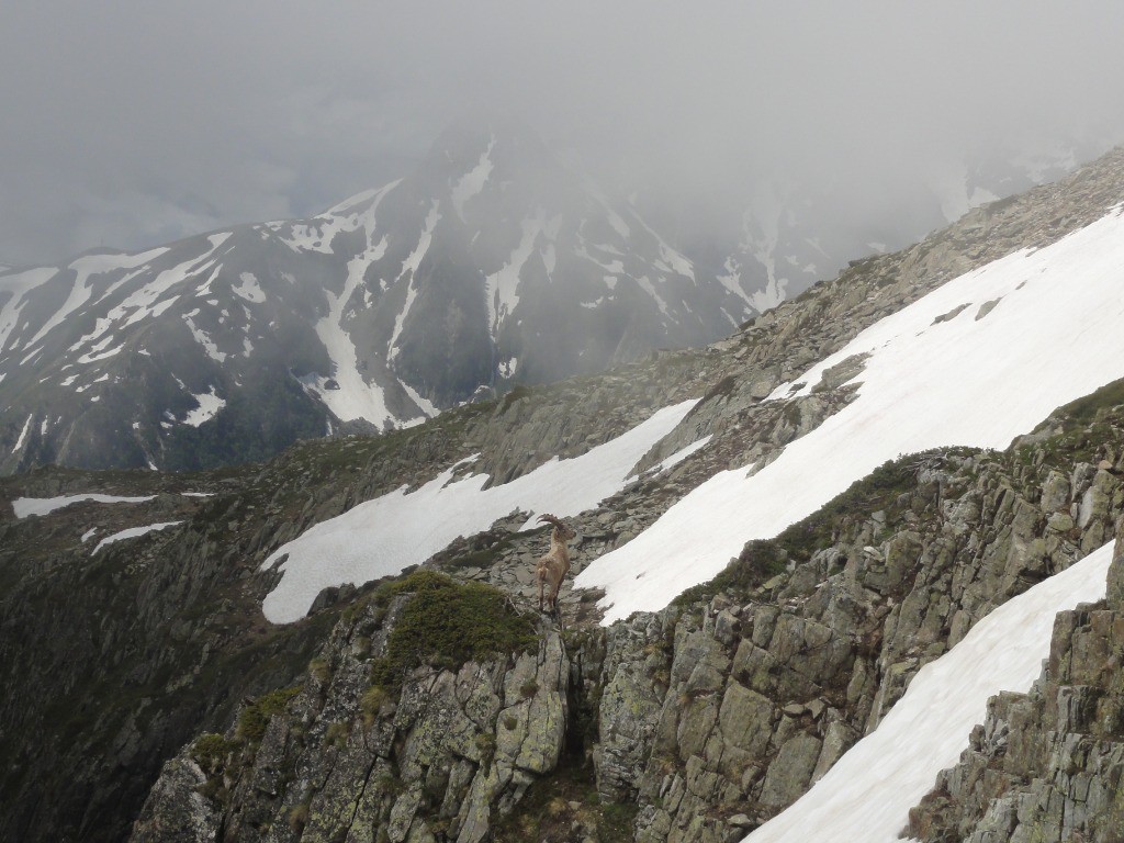 #6 Y Y'a du monde par là !
