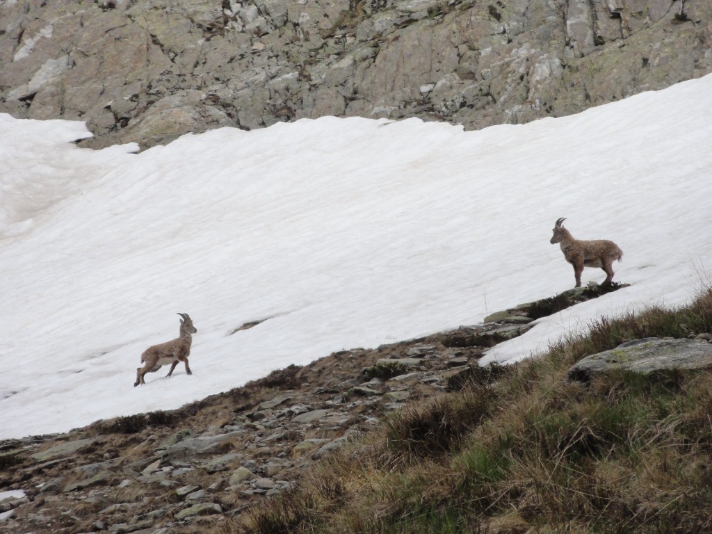 #8 Vive la jeunesse ! Vive la jeunesse !