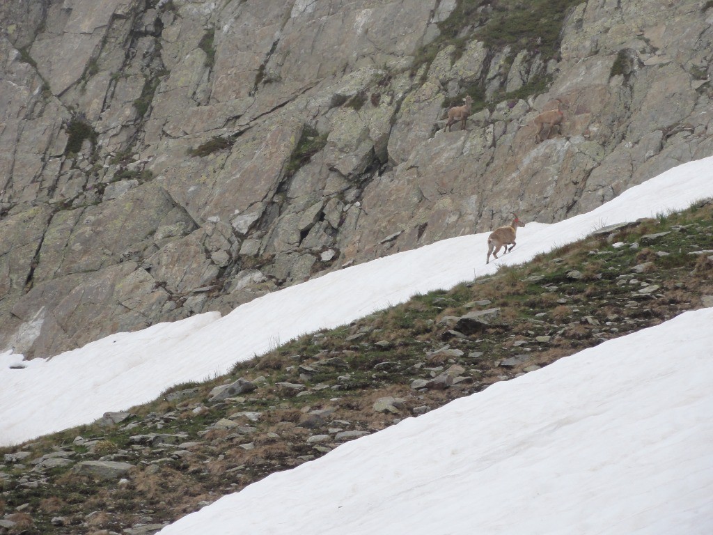 #7 Bagué ? Bagué ?