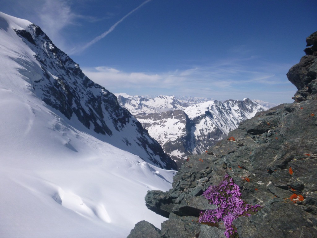 #5 parce que c parce que c'est joli