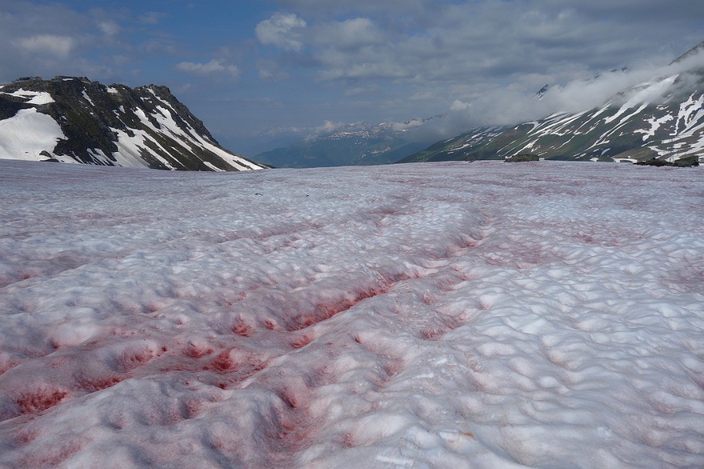 #1 Neige rouge sang..
Neige rouge sang..